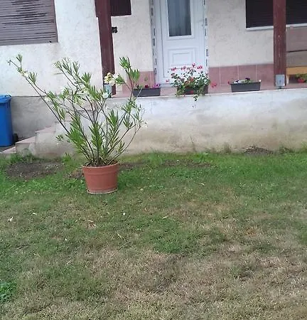 Farkas Vendeghaz Pensiune Tiszadorogma